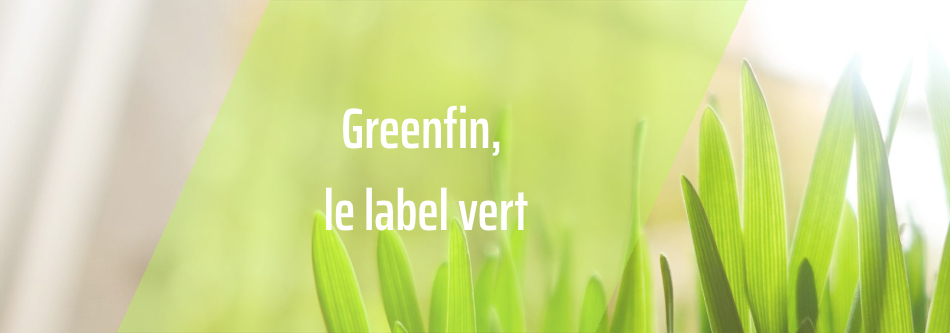 Label Greenfin : un nouveau repère pour l’investissement responsable
